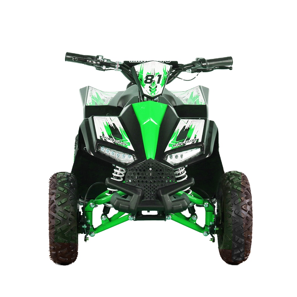 Kids Electric ATV Quad 1000W 4 – обзор и цена Kids Outdoor Quad Bike
