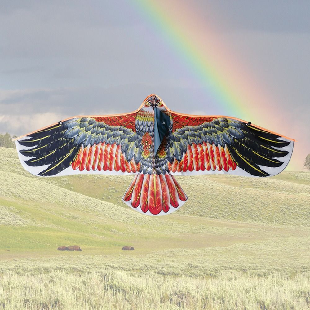 1.1m Eagle Kite With 30m Kite  – обзор и цена Kids Outdoor Play